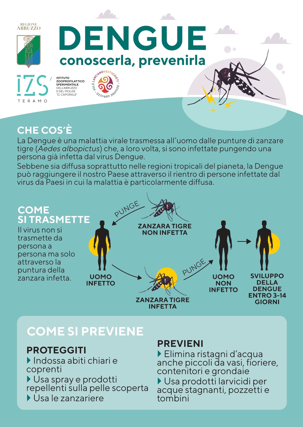 Dengue: conoscerla, prevenirla